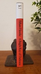 A Bright Ray of Darkness Ethan Hawke HC/DJ 1st Edition 1st Printing