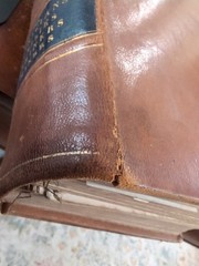 The Household Physician By Ira Warren 1864. 800 Pages