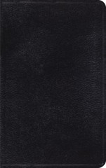 ESV Thinline Bible, Red Letter (Genuine Leather…, ESV