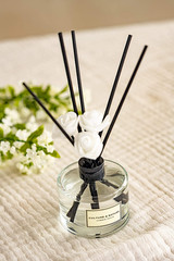 CULTURE & NATURE Reed Diffuser Set 6.7Oz (200Ml) French Lavender Scented Diffuse