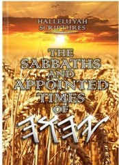 Shabbat & Festivals Easy To Learn THE BEST BOOK – Free Shipping