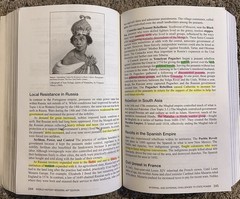 AMSCO AP World History: Modern 1200-Present Paperback 2016 (With Annotations)
