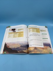 Bob Jones English 3 Writing & Grammar Student WorkText (3rd Edition) 3rd Grade