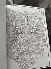 Cra-Z-art Timeless Creations Coloring Book, Wild at Heart, 64 pages