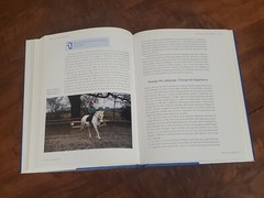 Solo Schooling – Horseriding by Wendy Jago / 2003, J.A. Allen