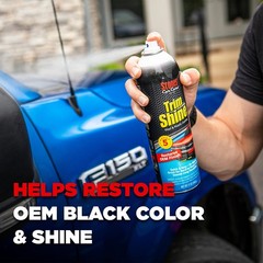 Trim Shine Restorer for Cars, Black Plastic & Vinyl Protectant Coating, 12 Oz.