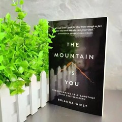 The Mountain is You: Transforming Self Sabotage into Self Mastery