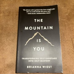 The Mountain Is You: Transforming Self-Sabotage Into Self-Mastery paperback