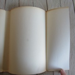 vtg The Spirit World Rev. Clarence Larkin 1921 HC / DJ