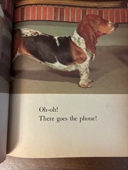 Vtg 1957 Golden Book CLEO Basset Hound Photo Story 1st Ed Vtg 1957 Acceptable