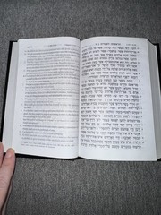 Hebrew-English New Covenant Prophecy Edition (Hope of Israel, 2003) Hardcover