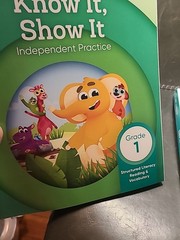 Set Of 2 HMH: Into Reading – Know It, Show It Independent Practice Grade 1 NEW