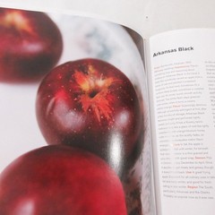 Apples of Uncommon Character Rowan Jacobsen 2014 Illustrated Cookbook Bloomsbury