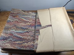 The Household Physician By Ira Warren 1864. 800 Pages