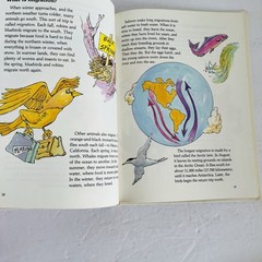 Lot 5 Elementary Nature Science Animal Kids Learning Books Hardcover Homeschool
