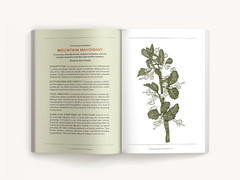 The Book of Killer Plants: A Field Guide to Nature’s Deadliest Creations
