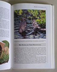 The Bird Table Book by Tony Soper 1992 Sixth Edition Hardback 192 Pages Vintage