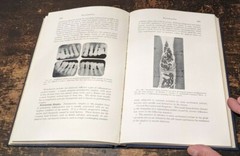 Periodontia, by Edgar D. Coolidge, Maynard K. Hine, Lea & Febiger, 1954-384pages
