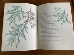 I found a leaf~Sharon Lerner~c1964~3rd ptg 1967~Lerner Publications~HB~36 pages
