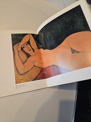 Modigliani Art Book Japanese Art Design Exhibition Catalog 8.2×9.4in Collectible