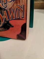 Jackie Summers – Embrace the Dawn – 1995 – Paperback Harlequin Historical