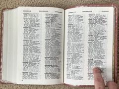 Nelson Personal Size Giant Print Bible King James Version Bonded Leather VG++