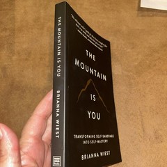 The Mountain Is You: Transforming Self-Sabotage Into Self-Mastery paperback