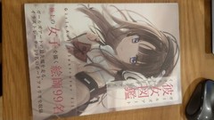 彼女図鑑 GirlsArt Illustrator File – Artwork Book from various digital illustrators