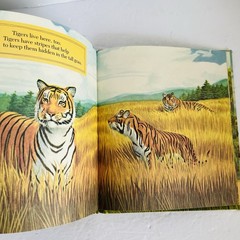 Lot 5 Elementary Nature Science Animal Kids Learning Books Hardcover Homeschool