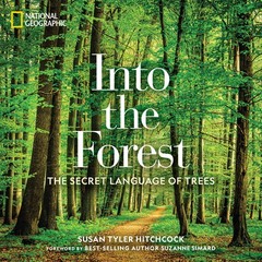 Into the Forest: The Secret Language of Trees – Susan Tyler Hitchcock – New …