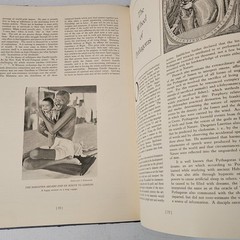 1931-32 Vintage Occult Book: The Phoenix By Manly Hall Limited Edition /3000