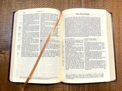 German Study Bible, Schlachter 2000, Burgundy Leather