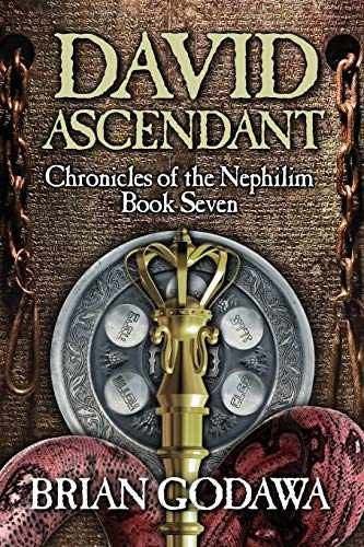 David Ascendant (Chronicles of the – Paperback, by Godawa Brian – Very Good