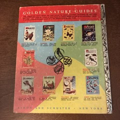 Vtg 1957 Golden Book CLEO Basset Hound Photo Story 1st Ed Vtg 1957 Acceptable