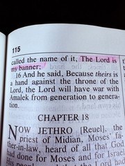 The Amplified Bible Giant Print Lockman Foundation AMP Bible SEE DETAILS