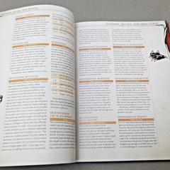 Monte Cook Fantasy RPG Arcana of the Ancients 5e Dungeons Dragons Numenera