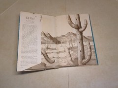 Elf Owl, Mary & Conrad Buff, Hardcover VG in Poor Dust Jacket 1958, 1966…