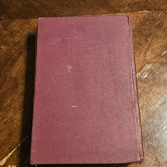 A Mere Woman By Vera Nikto HC Book 1913 Appleton