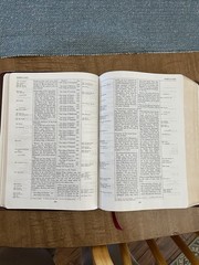 Kirkbride Thompson Chain Reference Bible NIV Red Letter Bonded Leather