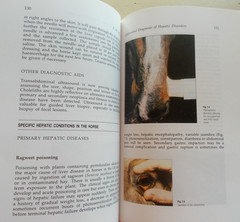 Lot 7 Vintage Horse Riding Books Techniques Vet Genetics Dressage 3-Day Jumping