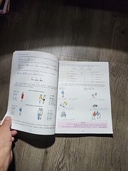 Fun Way Ser.: Learning French the Fast and Fun Way by Elisabeth Leete (1985,…