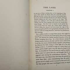 The Works Of George Moore. The Lake. Heinemann Ebury Edition 1936