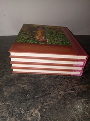 Childrens Classics Adapted and Illustrated Box Set Of 4 Hardcover Books