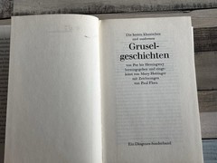📚Buch Gruselgeschichten Poe bis Hemingway – Diogenes Sonderband mit Zeichnungen