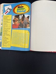 Das Grosse Bessy-Bunch Be 23 Andy Und Sein Treuer Freund Bastei German Book HTF