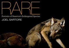 Rare: Portraits of America’s Endangered Species, Sartore, Joel, Good Book