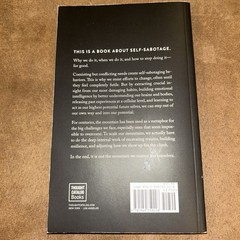 The Mountain Is You: Transforming Self-Sabotage Into Self-Mastery paperback