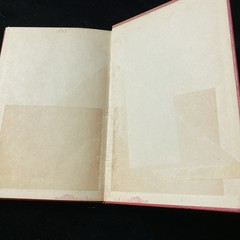 Colin Campbell, Lord Clyde by Archibald Forbes 1895 1st Ed. HC MACMILLAN & CO.
