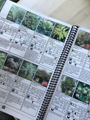 2010 Softcover Spiral-Bound “The Florida Friendly Landscaping™️ Guide”