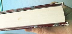 Soul/Mate by Rosamond Smith aka Joyce Carol Oates (1989, HC DJ, Ontario Review)